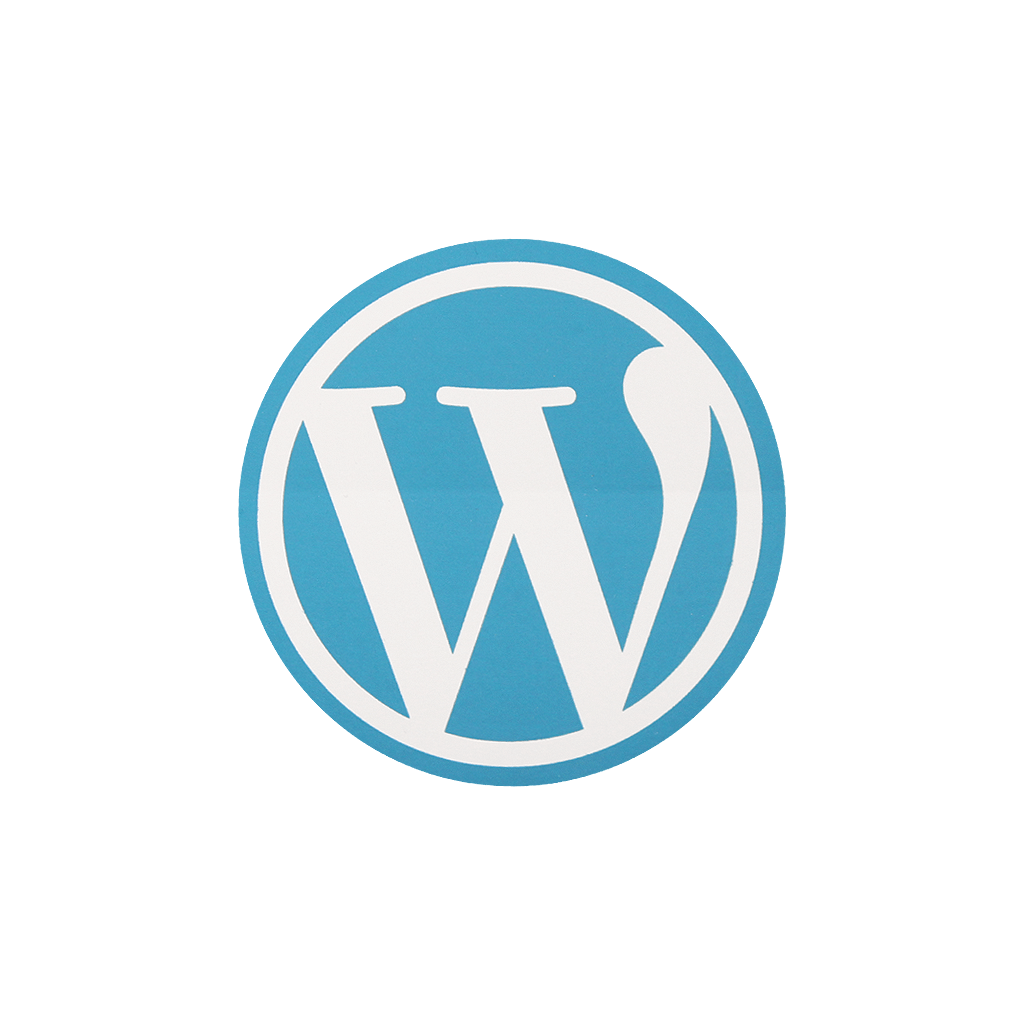 wordpress website design in tamil nadu dize tech it solutions